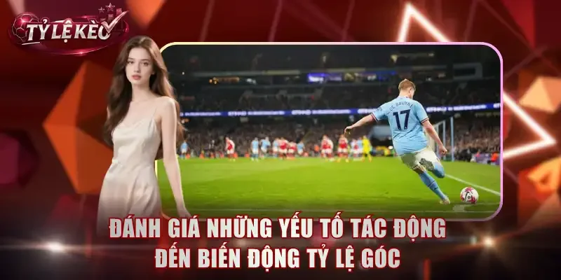 Đánh giá những yếu tố tác động đến biến động tỷ lệ góc