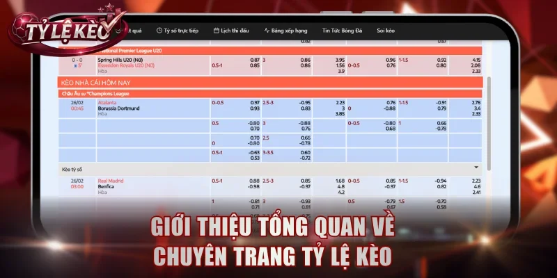 Giới thiệu tổng quan nhất về chuyên trang Tỷ Lệ Kèo 