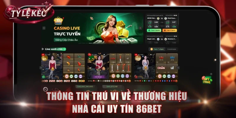 Thông tin thú vị về thương hiệu nhà cái uy tín 86BET